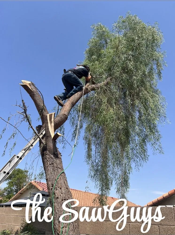 Trusted garden landscaping in Mesa, AZ - The Saw Guys