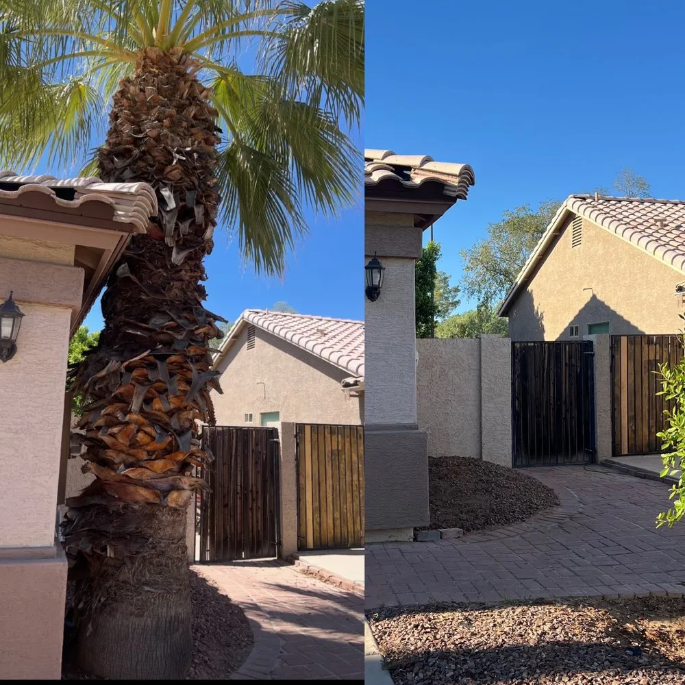 Expert yard maintenance for residential properties across Mesa, AZ - The Saw Guys