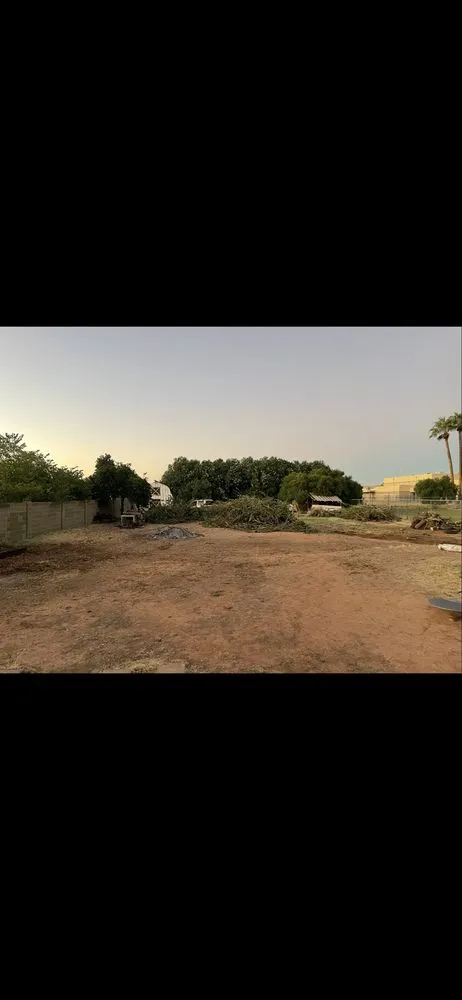 Local lawn mowing service for outdoor upgrades across Mesa, AZ - The Saw Guys