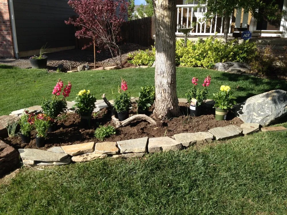 Trusted yard maintenance for residential properties in Knoxville, TN by The Sawlution
