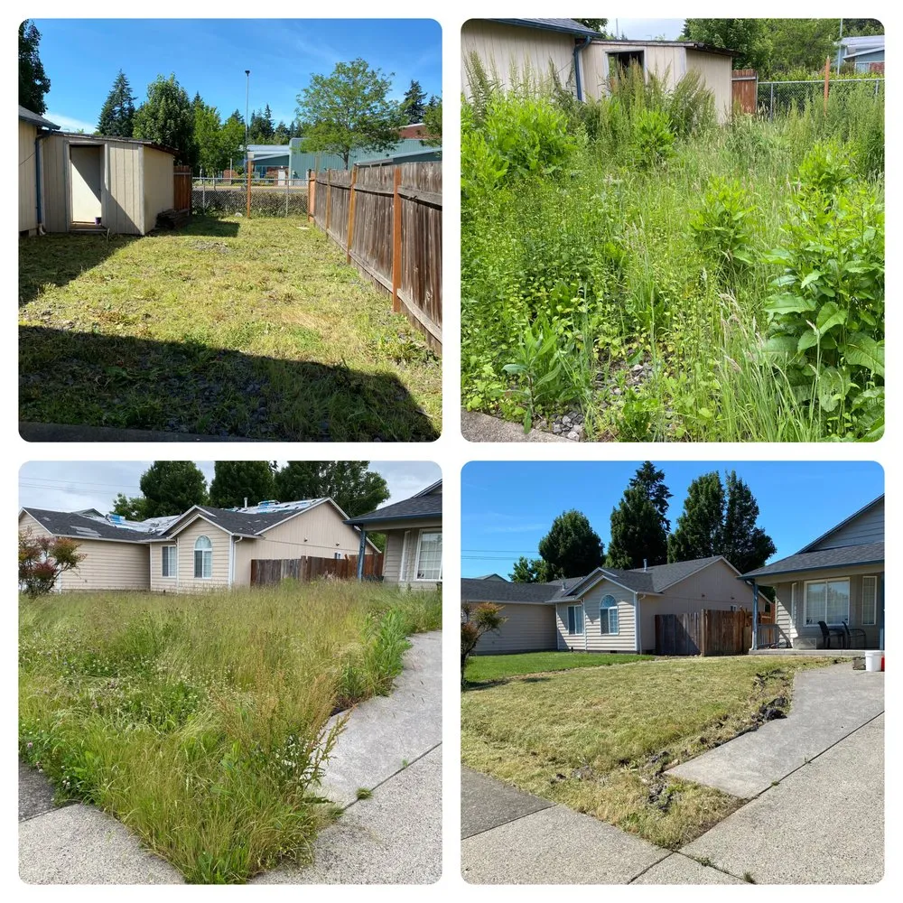 Affordable yard maintenance experts serving Vancouver, WA - The Scenery Sage