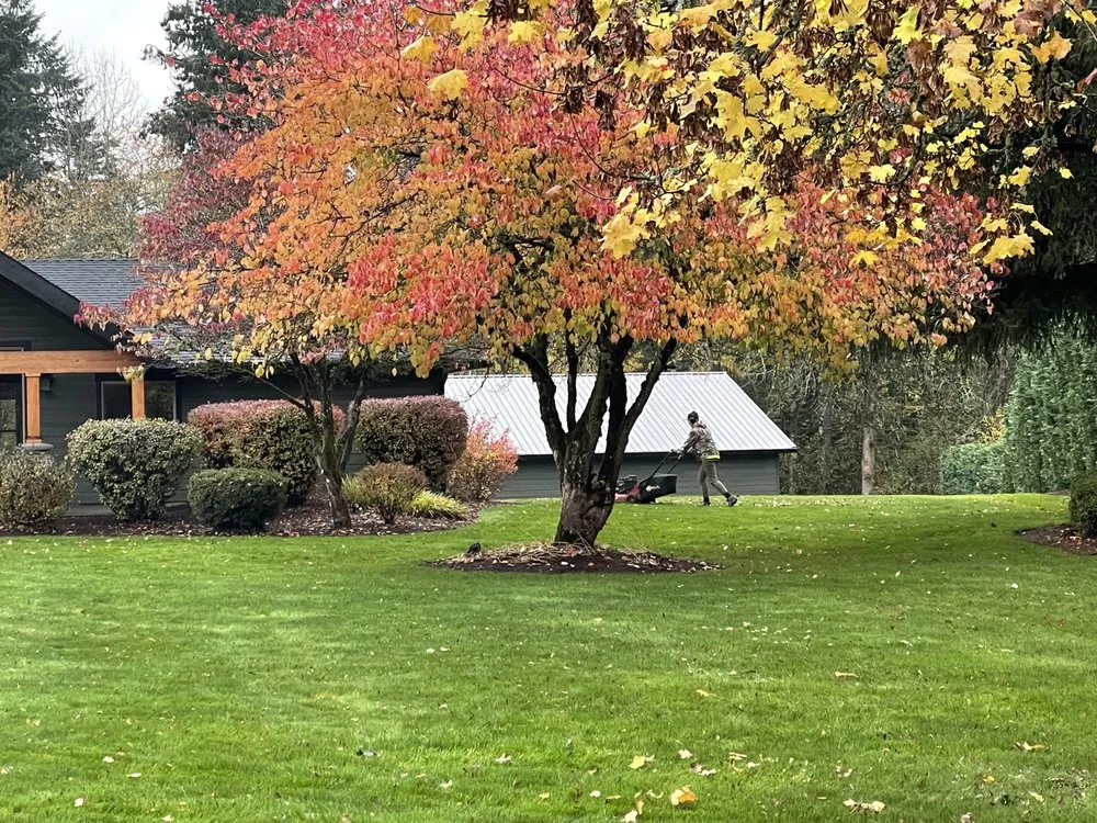 Affordable residential landscaping for year-round maintenance across Vancouver, WA - The Scenery Sage