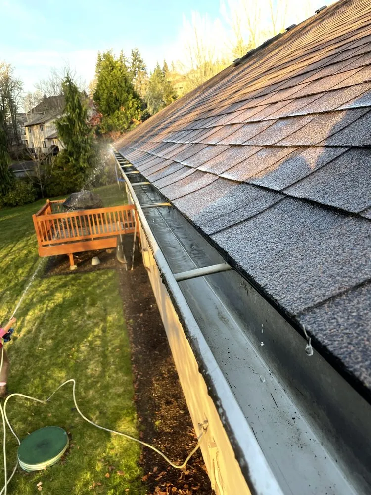 Trusted landscaping services in Vancouver, WA - The Scenery Sage