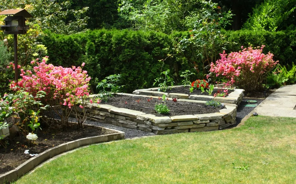 Custom yard cleanup service in Seattle, WA - The Sculpted Earth