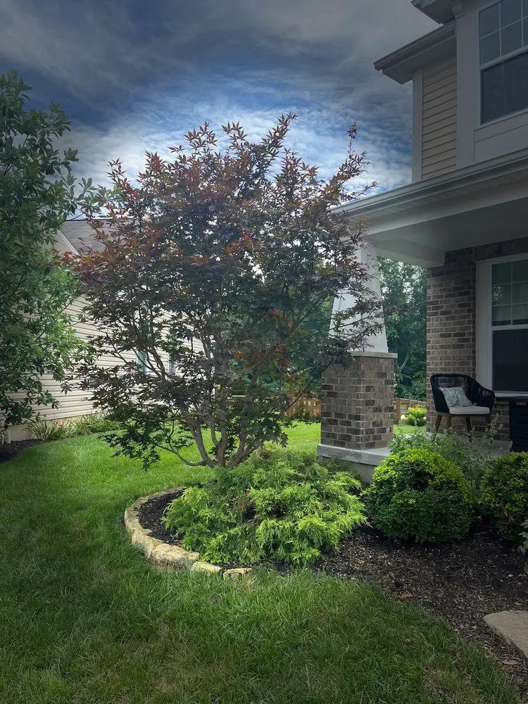 Reliable landscape installation in Maineville, OH by The Sculpted Tree