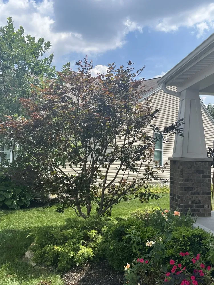 Expert landscaping services in Maineville, OH - The Sculpted Tree