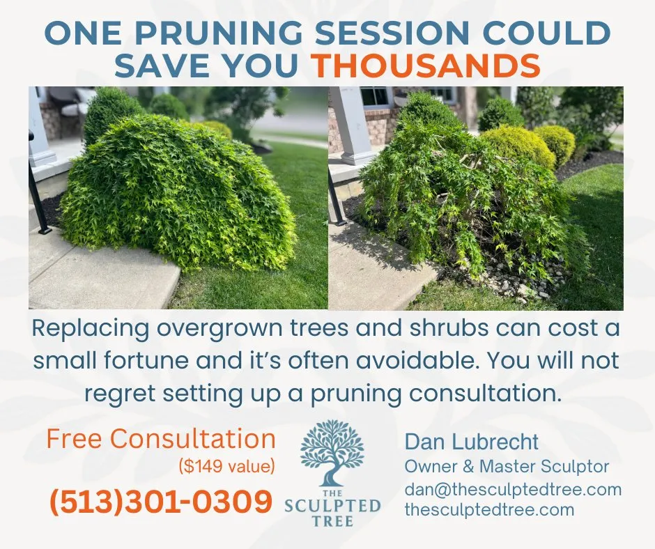 Trusted landscape installation experts serving Maineville, OH - The Sculpted Tree