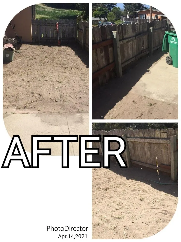 Local yard cleanup service experts serving Seaside, CA - The Second Look: Gardening Services
