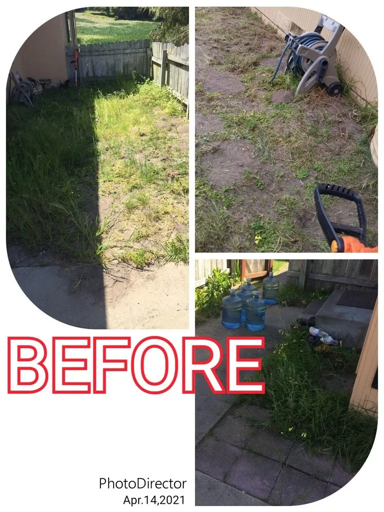 Custom yard cleanup service in Seaside, CA - The Second Look: Gardening Services