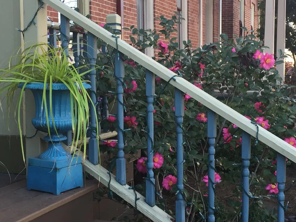 Expert lawn care service in Nashville, TN by The Secret Garden