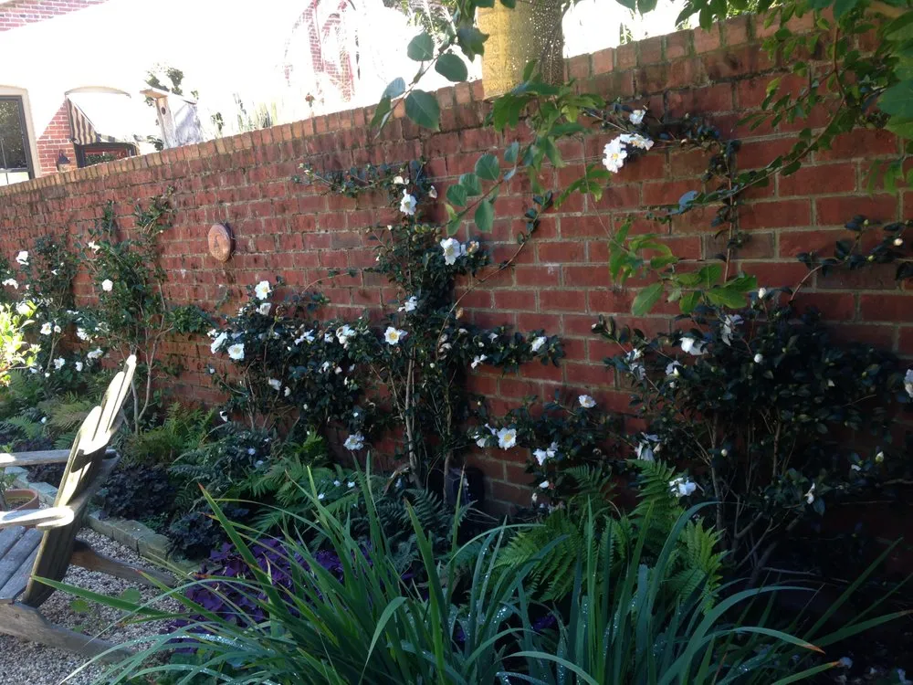 Expert outdoor landscaping with custom design across Nashville, TN - The Secret Garden