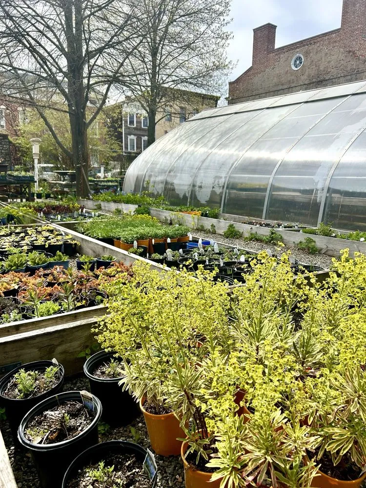 Expert yard cleanup service in Hudson, NY - The Secret Gardener