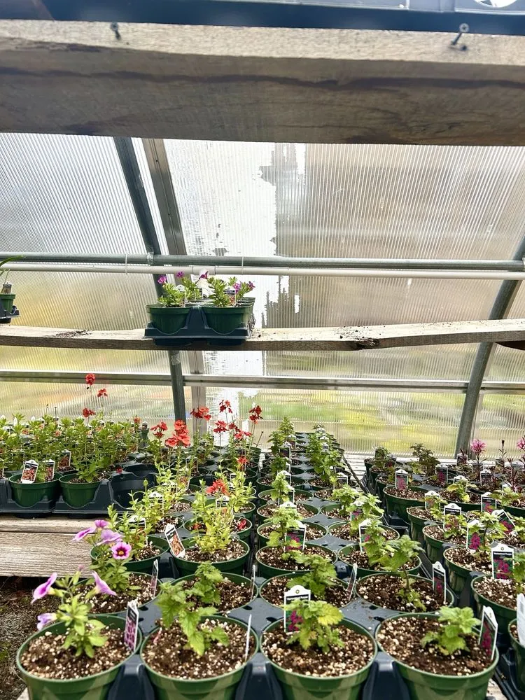 Expert garden landscaping in Hudson, NY - The Secret Gardener