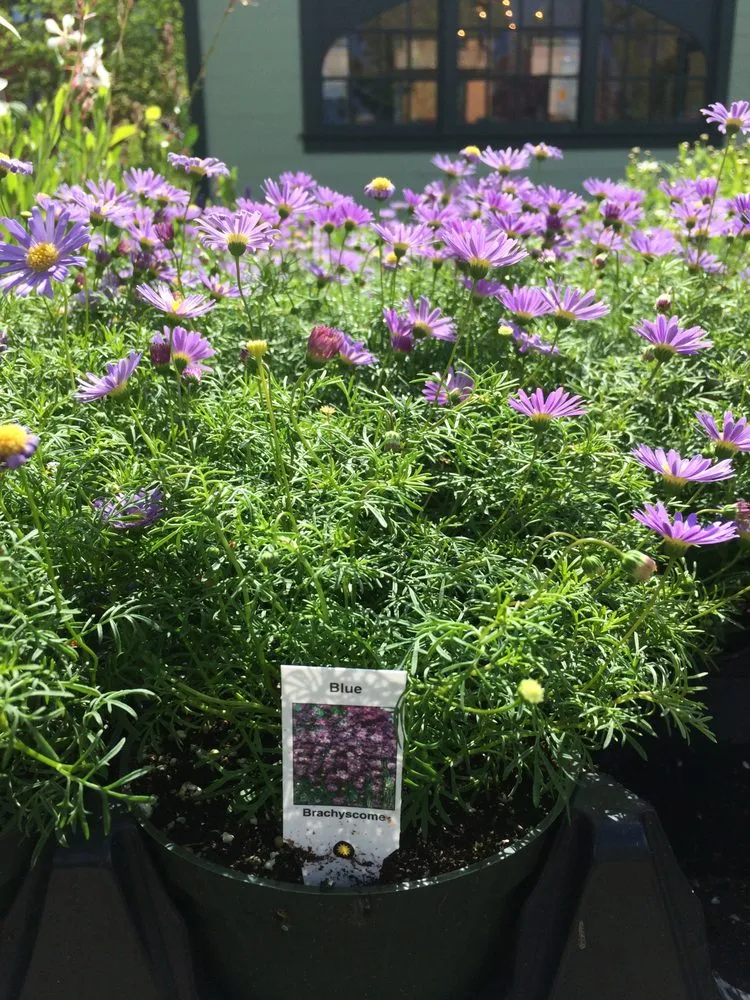 Custom residential landscaping experts serving Hudson, NY - The Secret Gardener