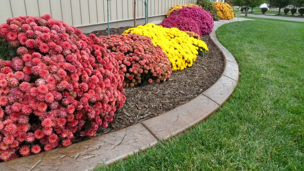 Expert lawn care service for year-round maintenance in Kansas City, MO by The Sharper Edge