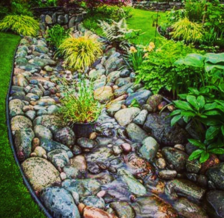 Local yard maintenance experts serving Waterford, CT - The Shoreline Guys