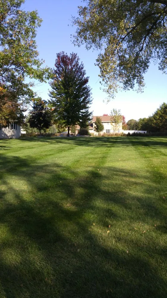 Top-rated residential landscaping in Wisconsin Rapids, WI - The Shrub Doctor