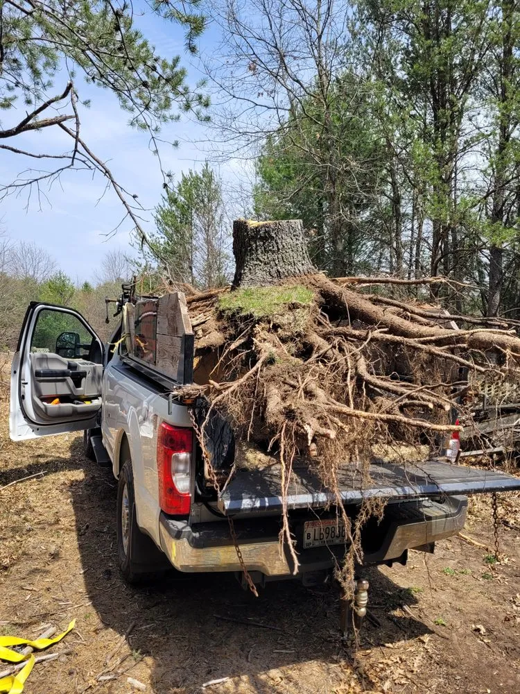 Reliable lawn care service experts serving Wisconsin Rapids, WI - The Shrub Doctor
