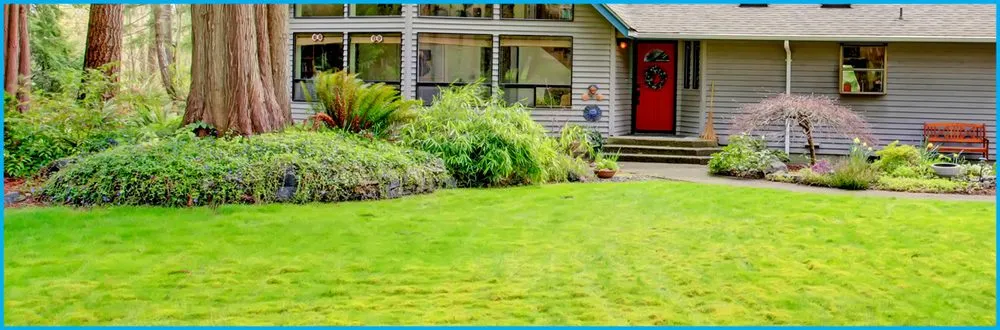 Professional residential landscaping in Nashville, TN - The Shrub Lady