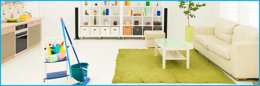 Professional yard maintenance experts serving Nashville, TN - The Shrub Lady