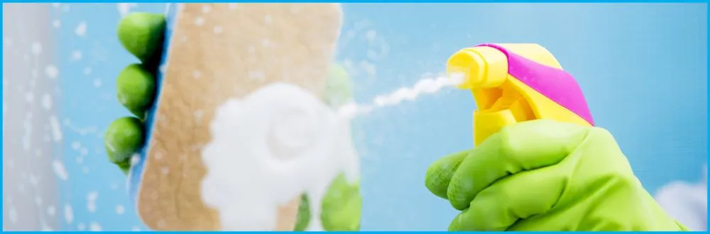 Local garden landscaping for homes across Nashville, TN - The Shrub Lady