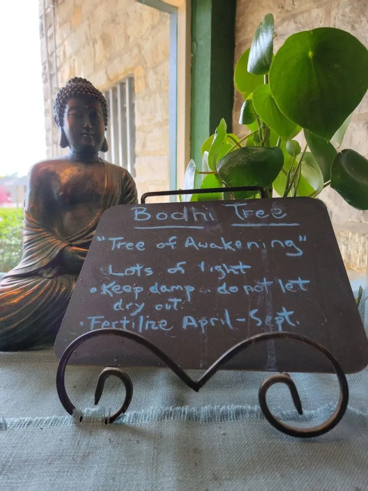 Trusted outdoor landscaping experts serving Centerville, OH - The Siebenthaler