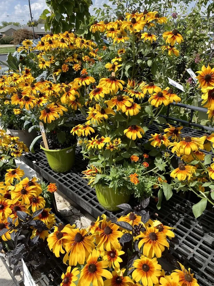 Local garden landscaping in Centerville, OH - The Siebenthaler