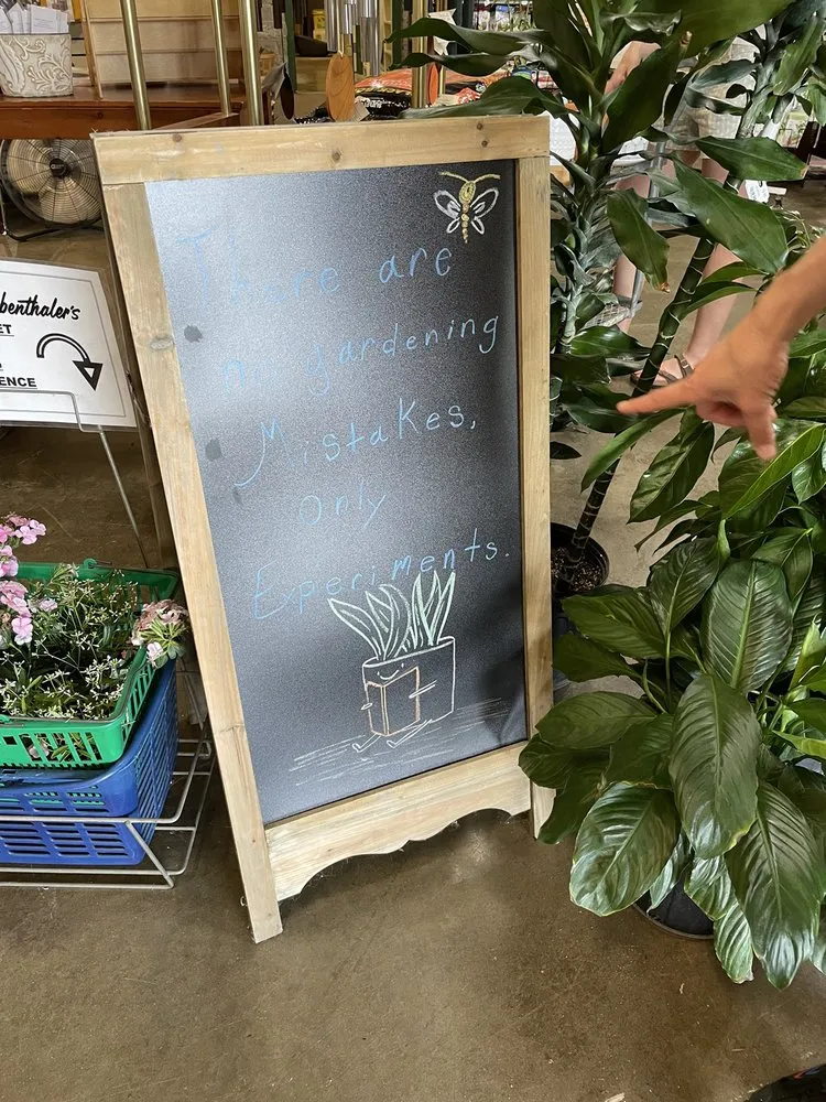 Custom landscape installation for outdoor upgrades in Centerville, OH by The Siebenthaler