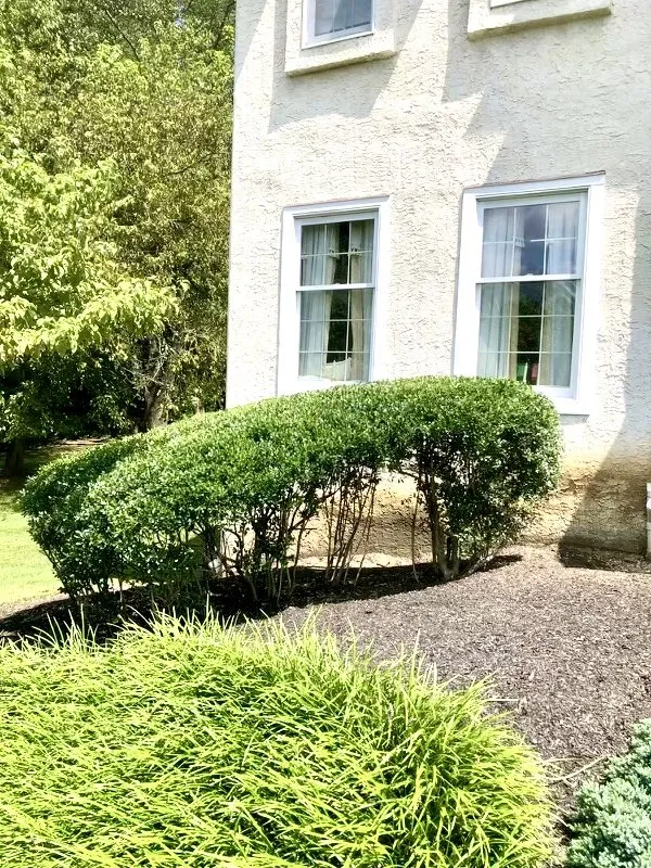 Affordable landscaping services in Coatesville, PA by The Simon Works