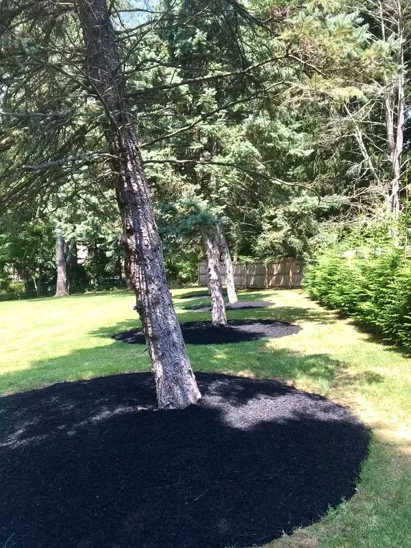 Top-rated landscape installation in Coatesville, PA by The Simon Works