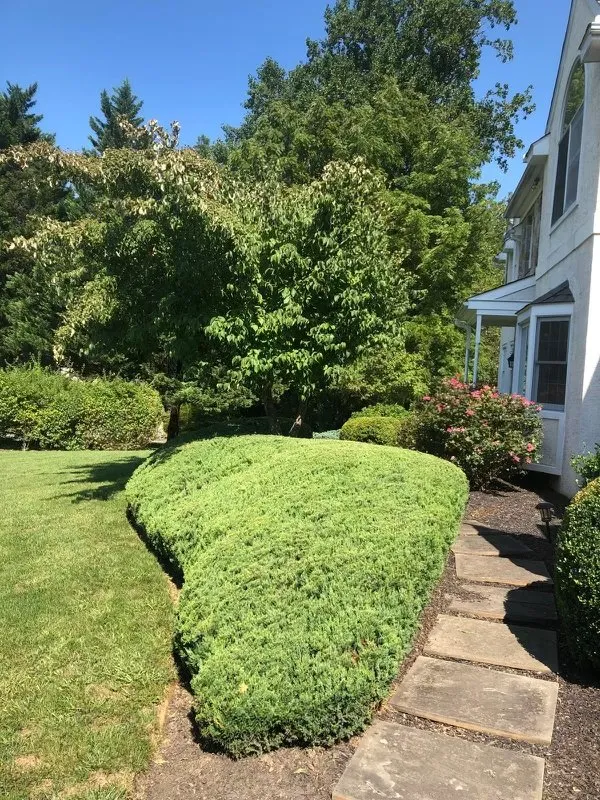 Custom yard maintenance with custom design across Coatesville, PA - The Simon Works