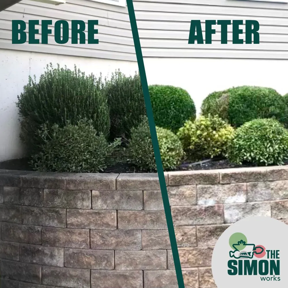 Local landscape design for residential properties across Coatesville, PA - The Simon Works