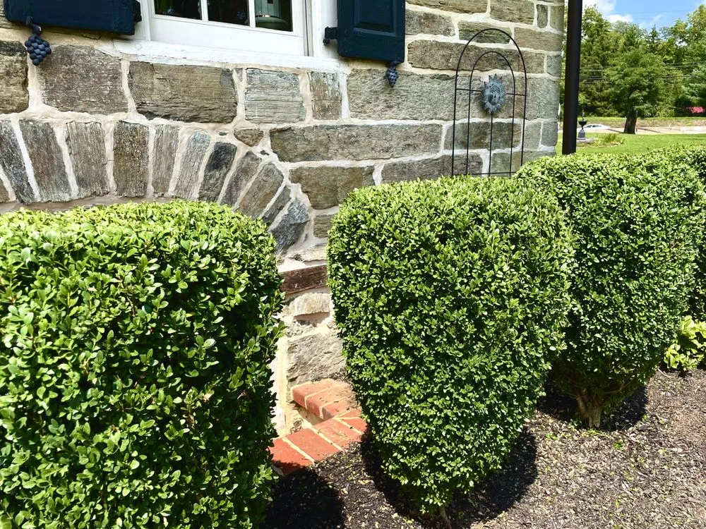 Professional yard cleanup service for outdoor upgrades in Coatesville, PA by The Simon Works