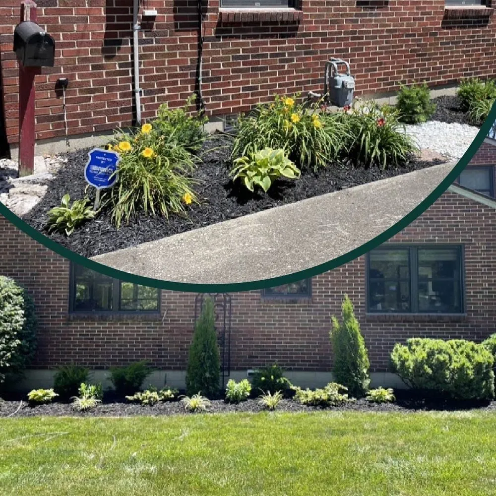 Local yard cleanup service experts serving Coatesville, PA - The Simon Works