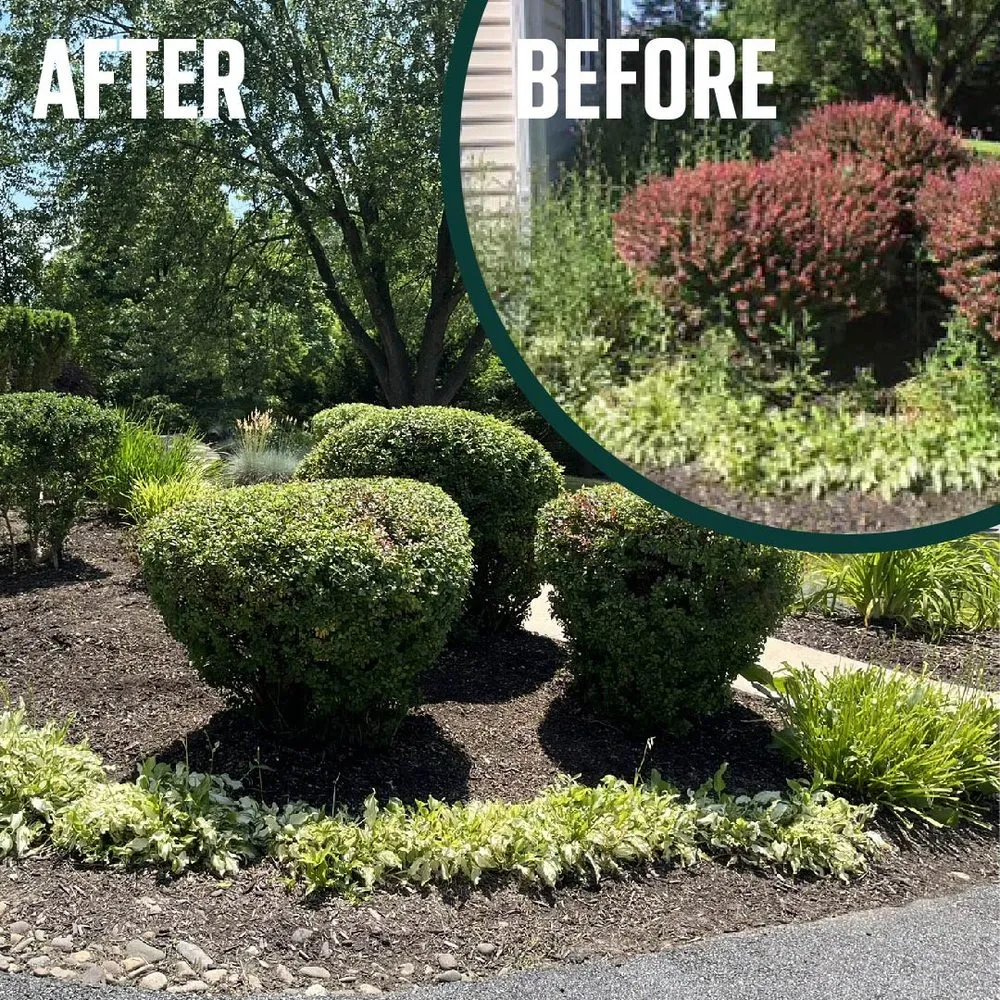 Custom lawn care service near you in Coatesville, PA by The Simon Works