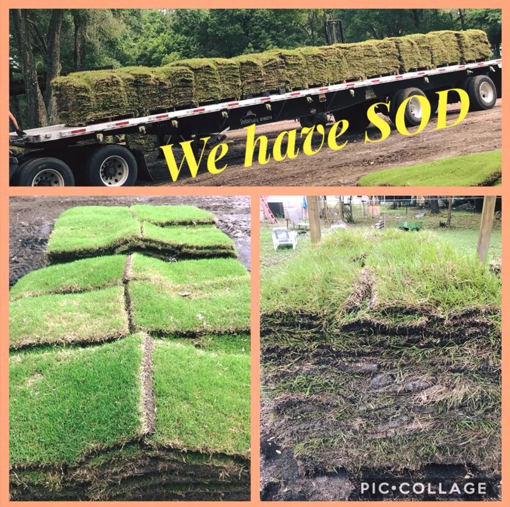 Custom yard maintenance for beautiful yards across New Port Richey, FL - The Sod Farm