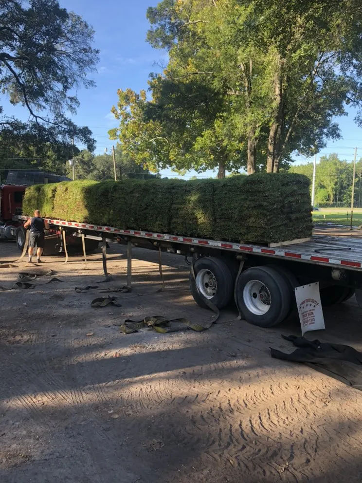 Reliable residential landscaping experts serving New Port Richey, FL - The Sod Farm