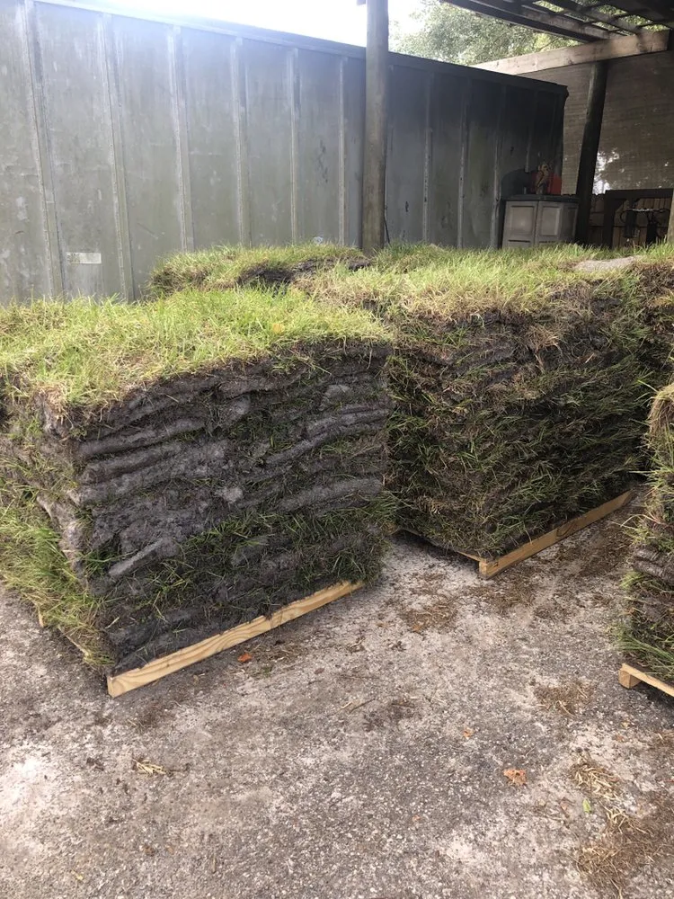 Expert landscape design experts serving New Port Richey, FL - The Sod Farm