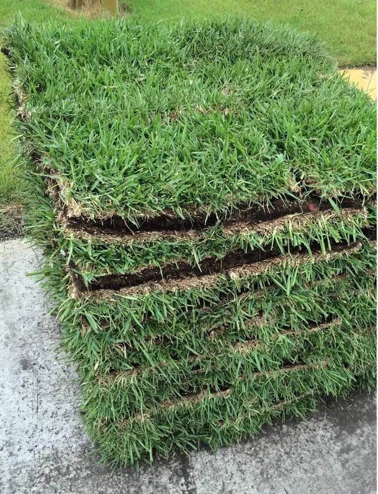 Trusted landscape design experts serving New Port Richey, FL - The Sod Farm