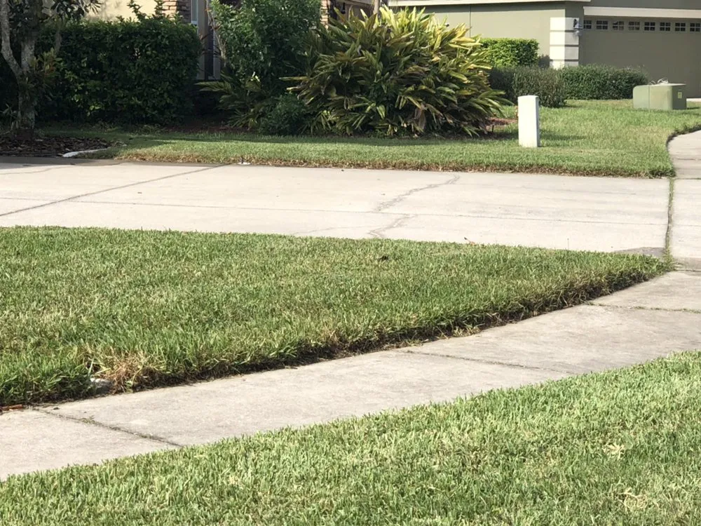 Custom lawn mowing service experts serving New Port Richey, FL - The Sod Farm