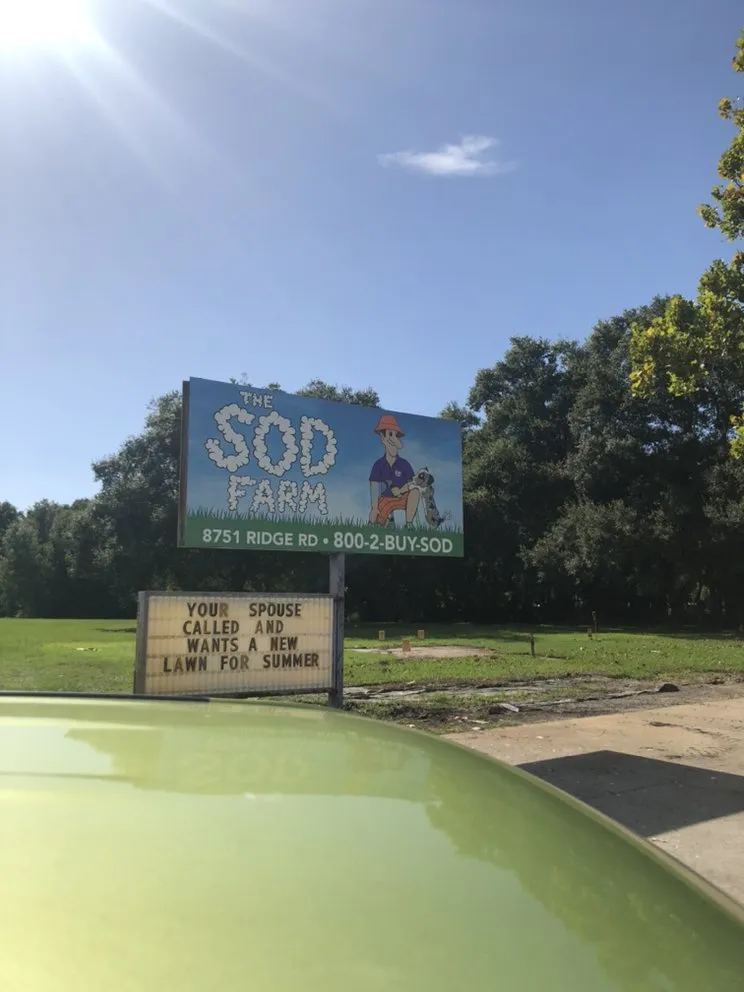 Reliable yard cleanup service for homes in New Port Richey, FL by The Sod Farm