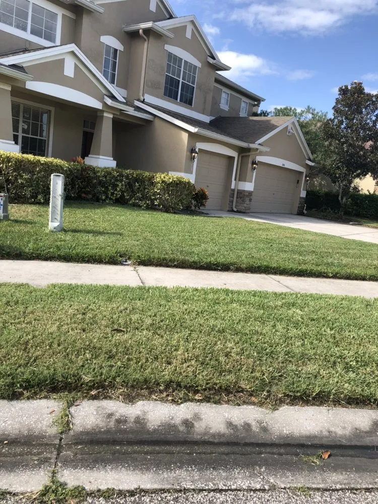 Local yard cleanup service for outdoor upgrades in New Port Richey, FL by The Sod Farm
