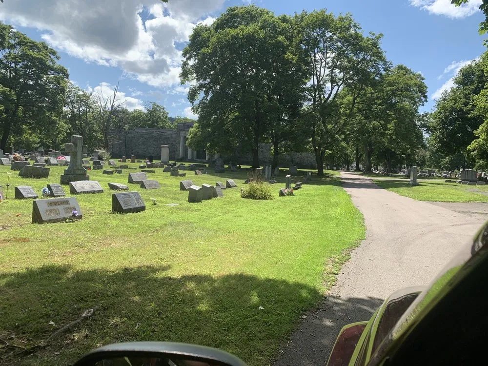 Professional lawn mowing service experts serving New Port Richey, FL - The Sod Farm