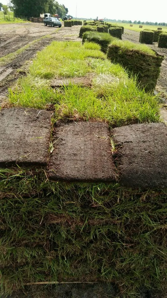 Reliable residential landscaping for beautiful yards across New Port Richey, FL - The Sod Farm