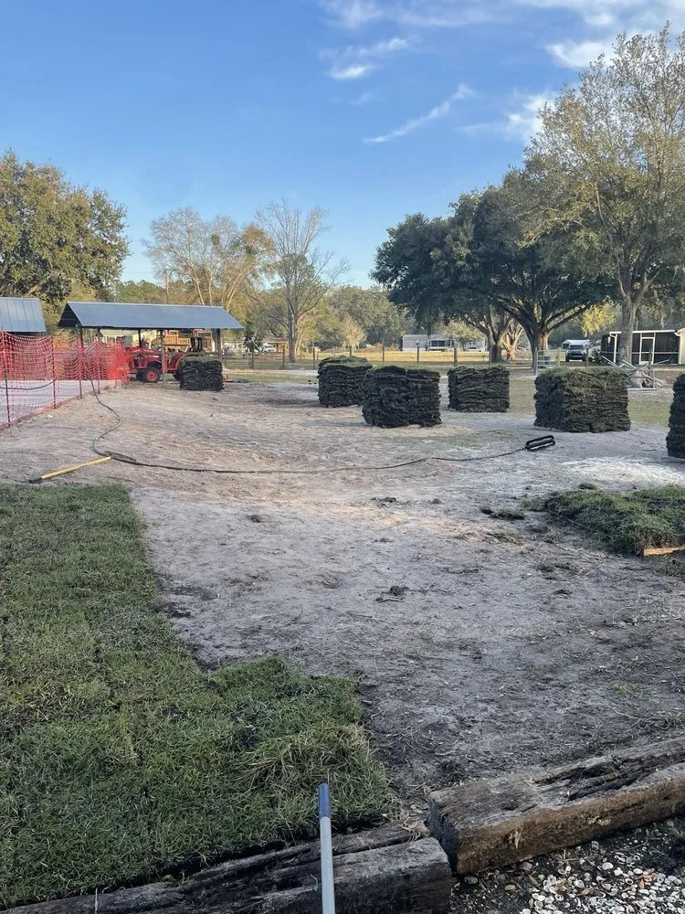 Local landscape design for year-round maintenance in New Port Richey, FL by The Sod Farm