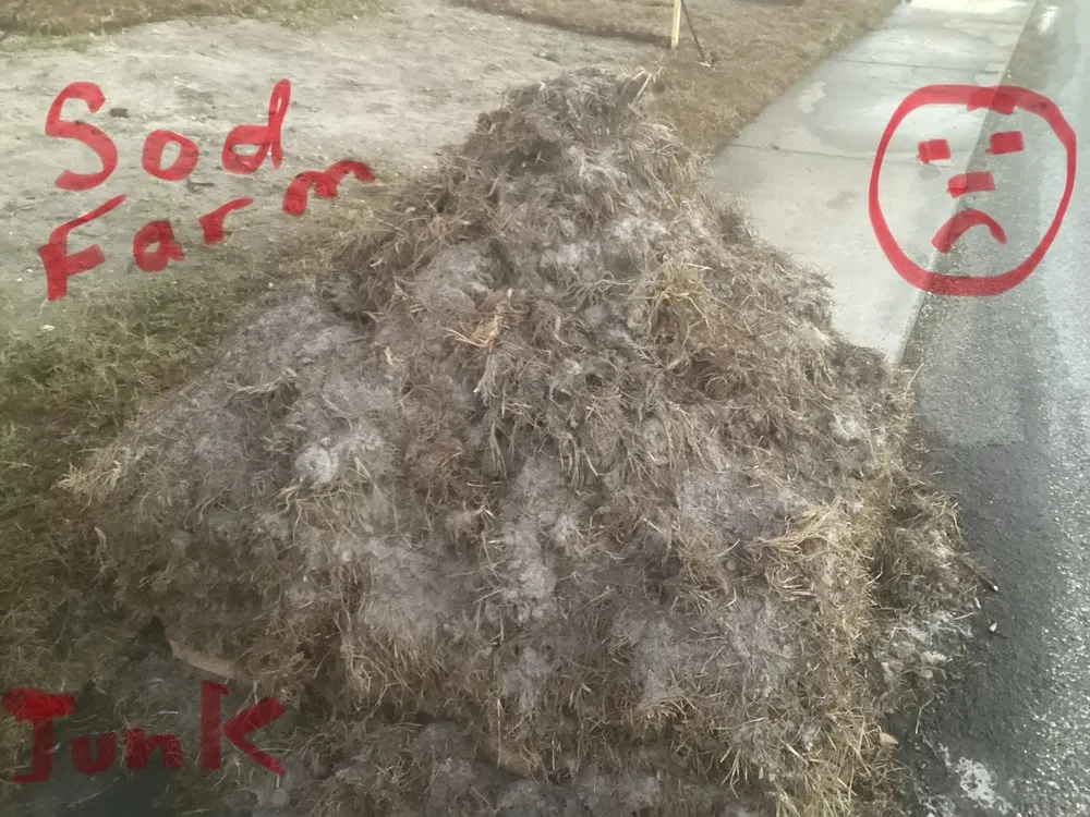 Custom landscape design in New Port Richey, FL - The Sod Farm