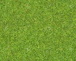 Professional outdoor landscaping for residential properties in New Port Richey, FL by The Sod Farm