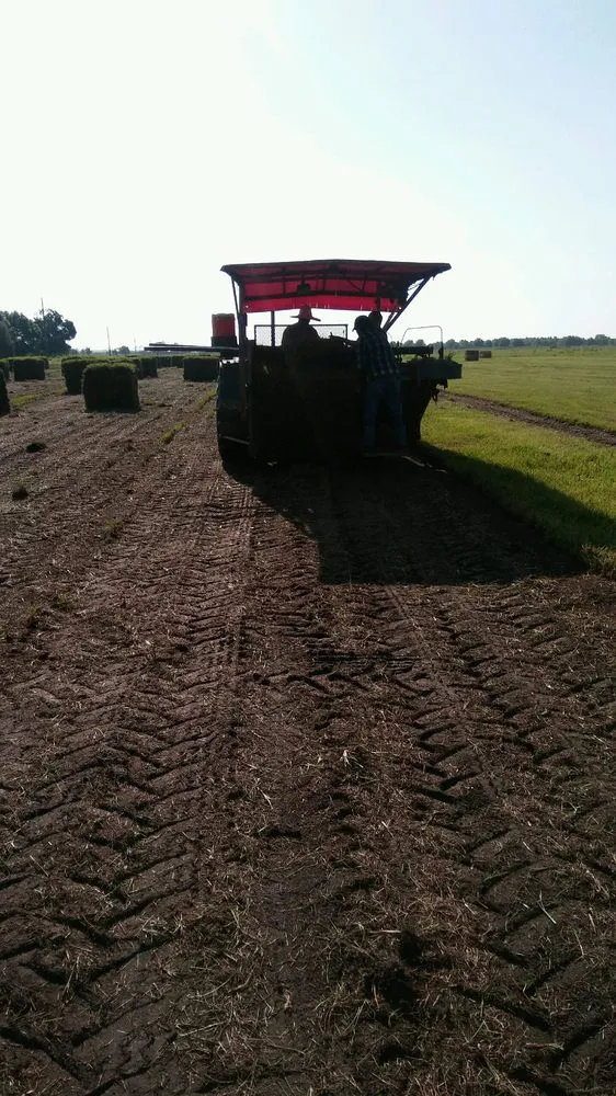 Affordable landscape design with custom design in New Port Richey, FL by The Sod Farm