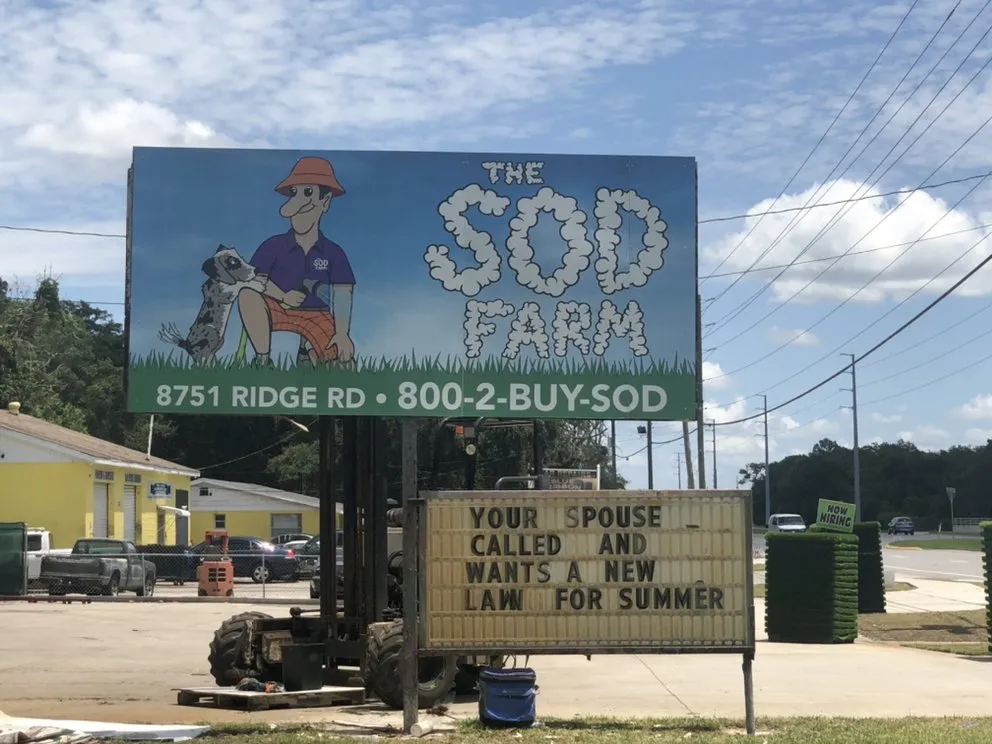 Expert lawn care service with custom design across New Port Richey, FL - The Sod Farm