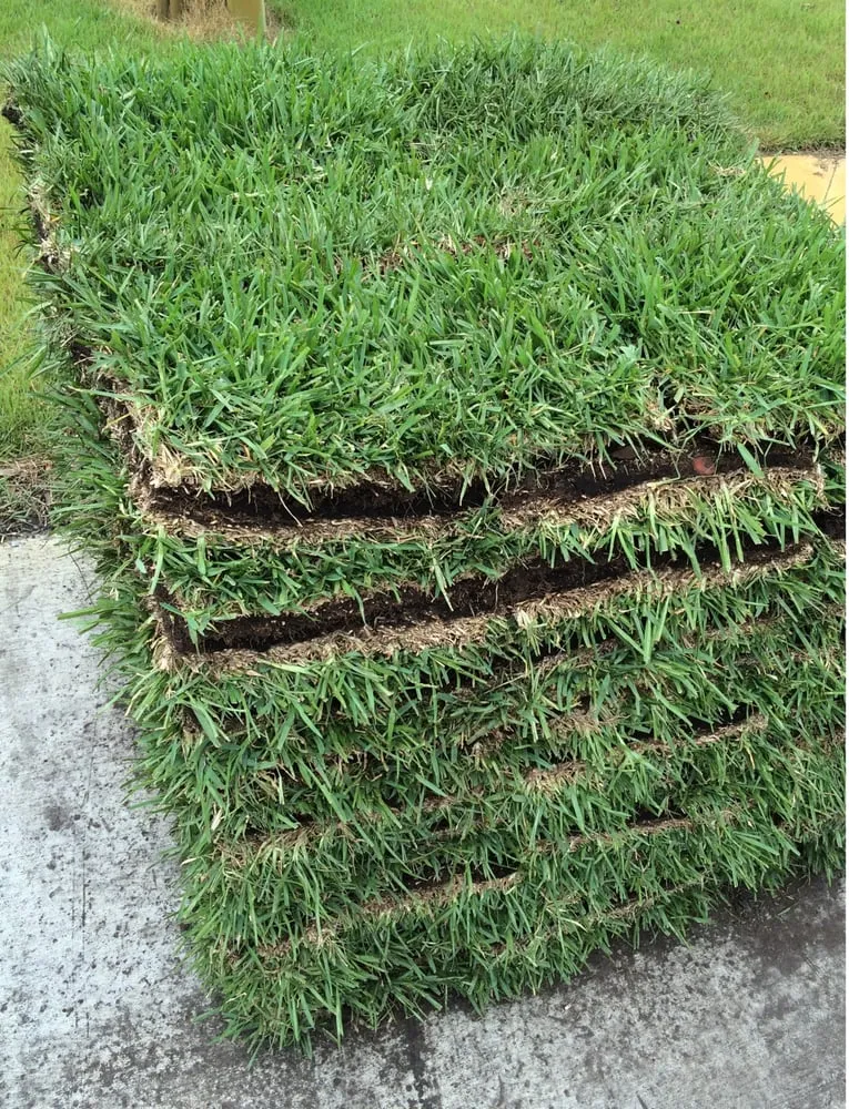 Local landscape design for homes across New Port Richey, FL - The Sod Farm